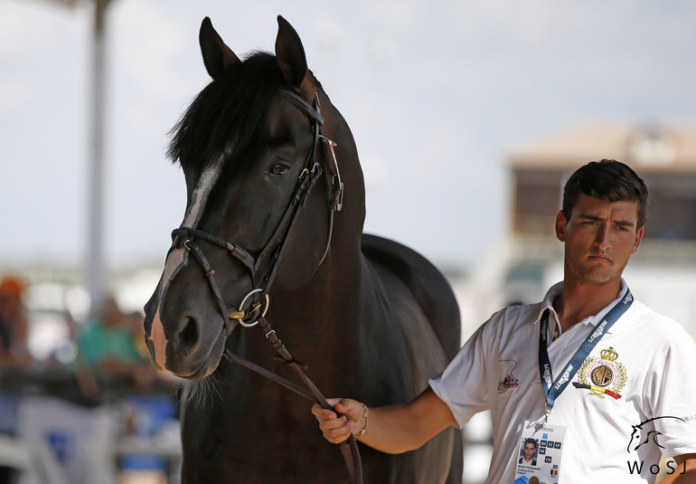 Photo © Jenny Abrahamsson for World of Showjumping.