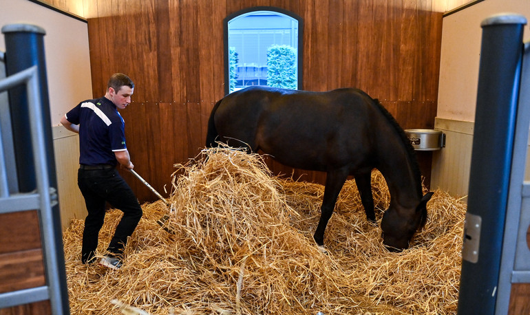 Photo © Karlswood/Sportsfile