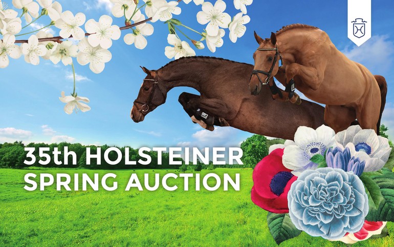 35th Holsteiner Spring Auction Sale