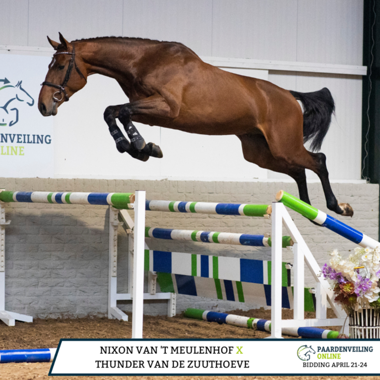 2. Sky vd Middelstede