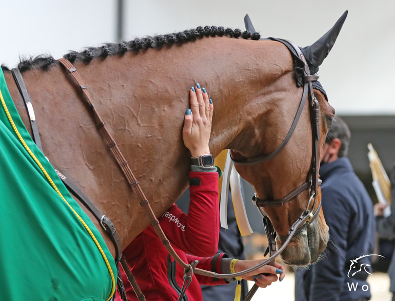 Photo © Jenny Abrahamsson for World of Showjumping.