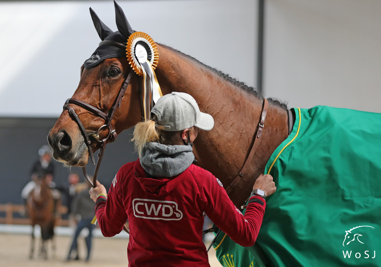 Photo © Jenny Abrahamsson for World of Showjumping.