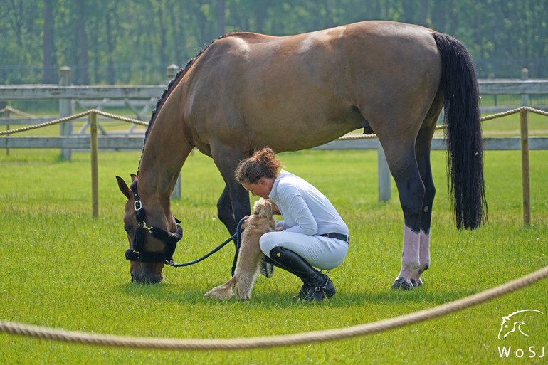 Photo © Nanna Nieminen for World of Showjumping