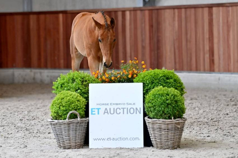 ET Auction