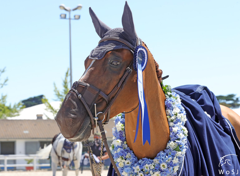 Photo © Jenny Abrahamsson for World of Showjumping.