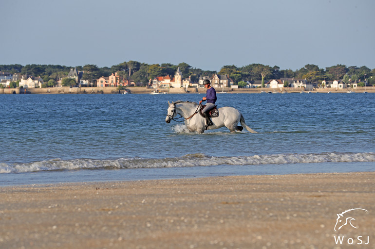 Photo © Jenny Abrahamsson for World of Showjumping.