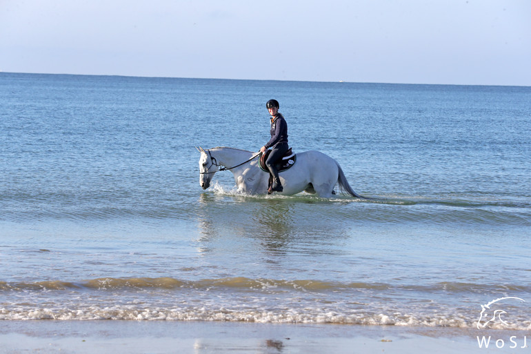 Photo © Jenny Abrahamsson for World of Showjumping.