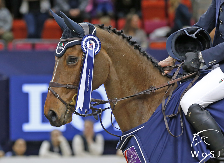 Photo © Jenny Abrahamsson for World of Showjumping.