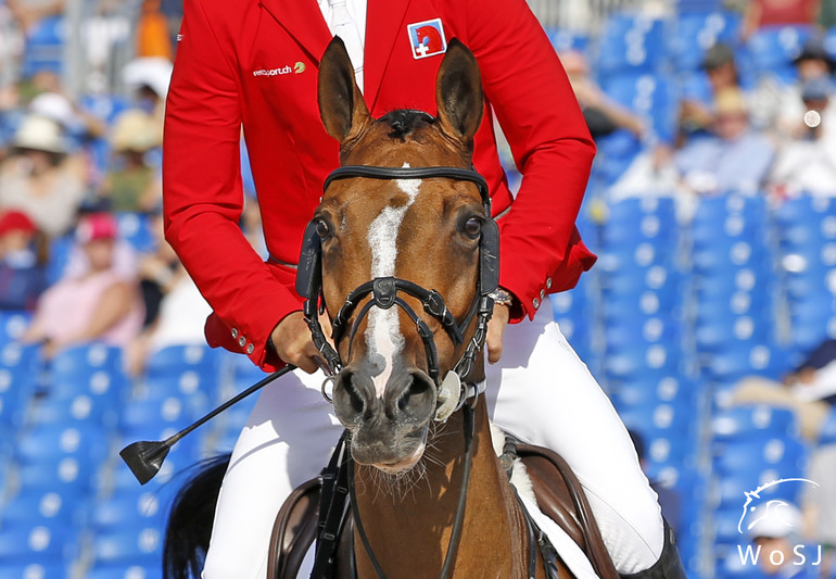 Photo © Jenny Abrahamsson for World of Showjumping.