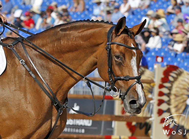 Photo © Jenny Abrahamsson for World of Showjumping.