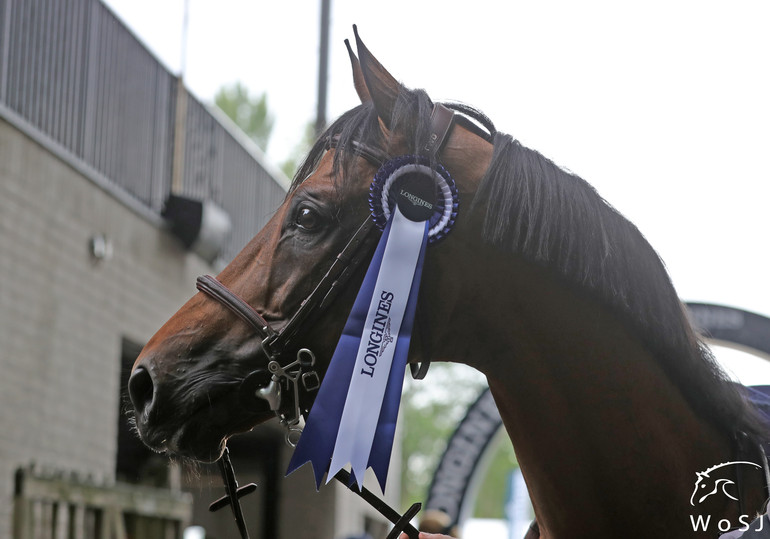 Photo © Jenny Abrahamsson for World of Showjumping.