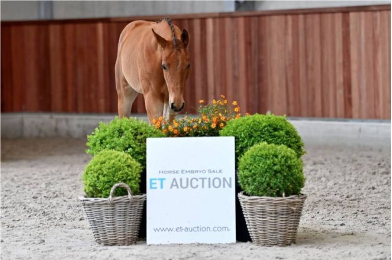 ET AUCTION