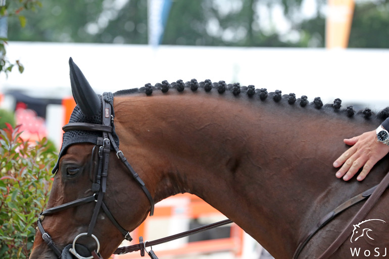 Photo © Jenny Abrahamsson/World of Showjumping. 