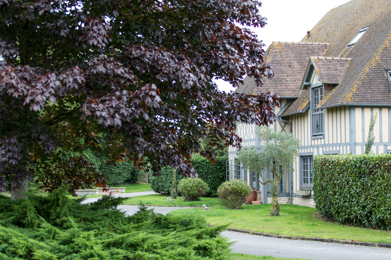 Haras De La Roque