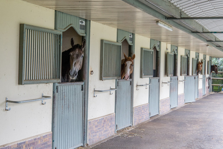 Haras De La Roque