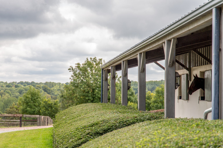 Haras De La Roque