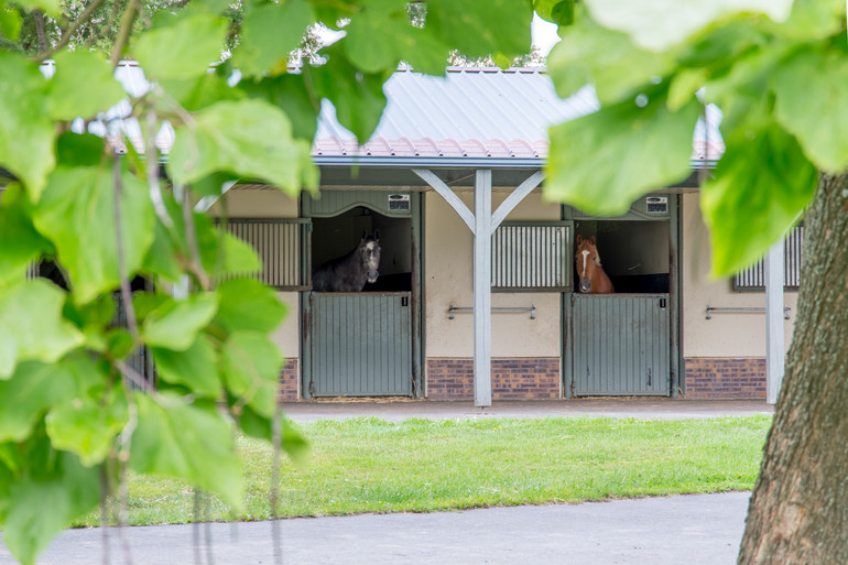 Haras De La Roque