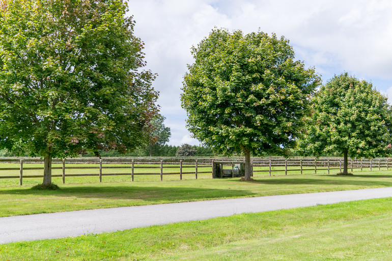 Haras De La Roque