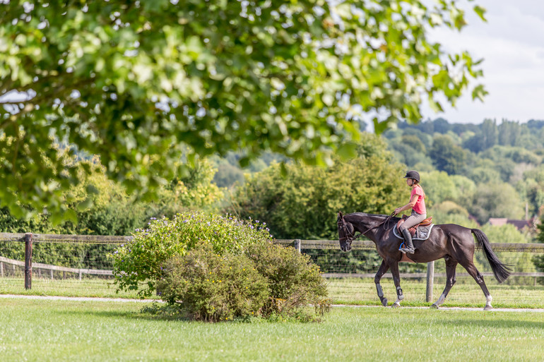 Haras De La Roque