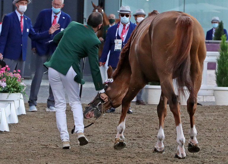 Photo © Jenny Abrahamsson for World of Showjumping.