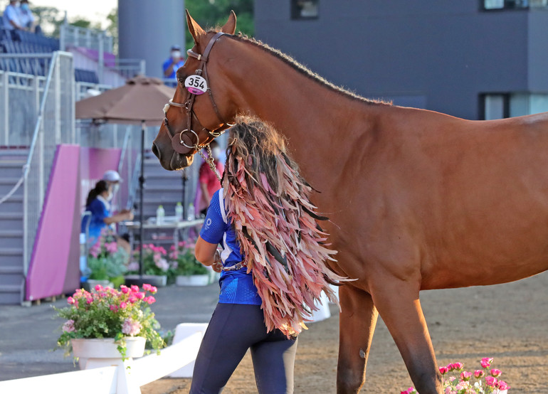 Photo © Jenny Abrahamsson for World of Showjumping.