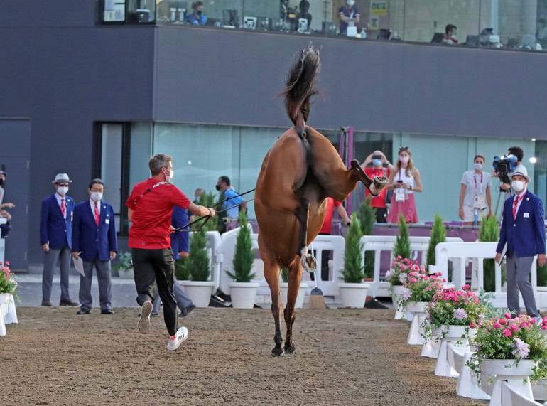 Photo © Jenny Abrahamsson for World of Showjumping.