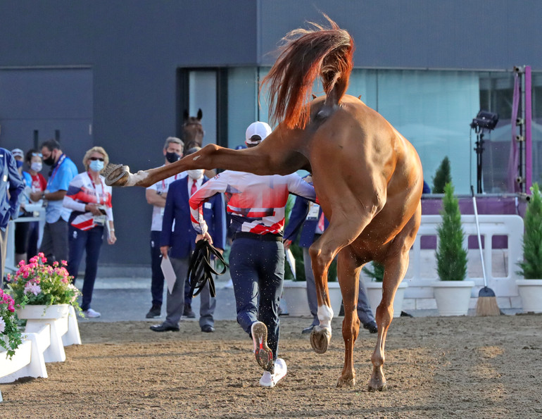 Photo © Jenny Abrahamsson for World of Showjumping.