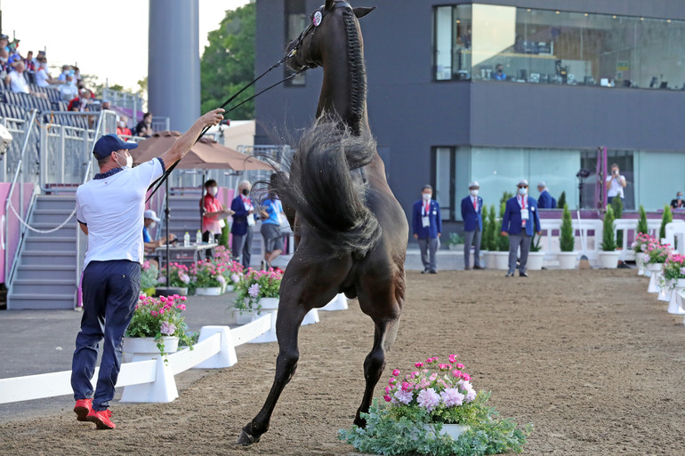 Photo © Jenny Abrahamsson for World of Showjumping.