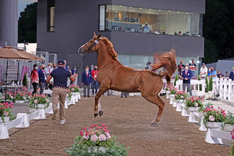 Photo © Jenny Abrahamsson for World of Showjumping.