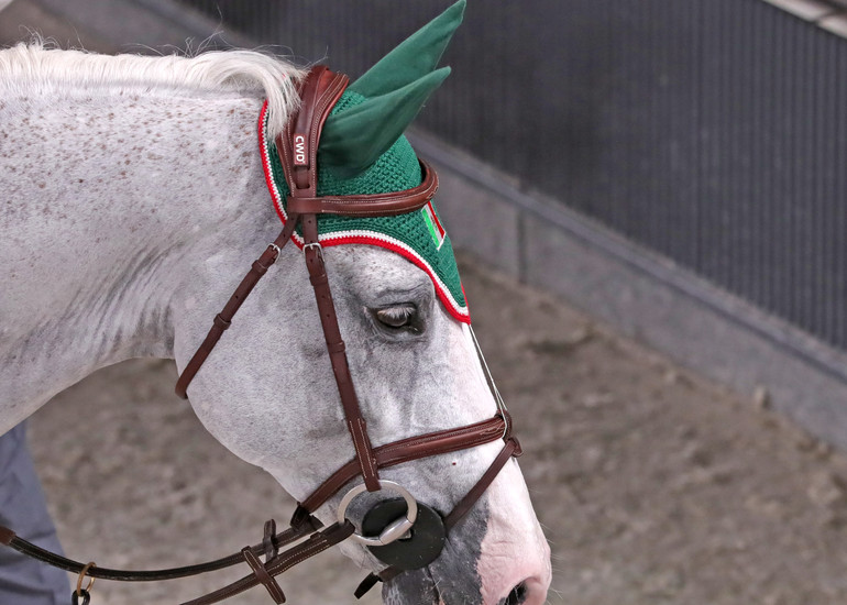 Photo © Jenny Abrahamsson for World of Showjumping.