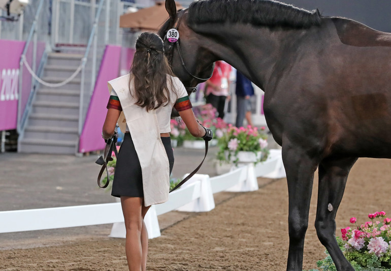 Photo © Jenny Abrahamsson for World of Showjumping.