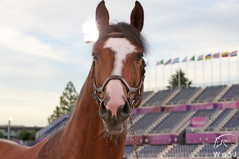 Photo © Jenny Abrahamsson for World of Showjumping