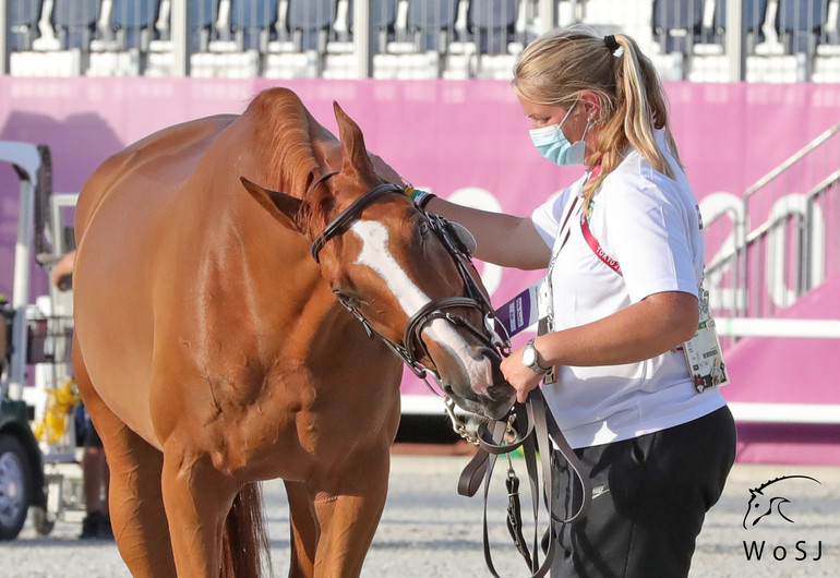 Photo © Jenny Abrahamsson for World of Showjumping. 