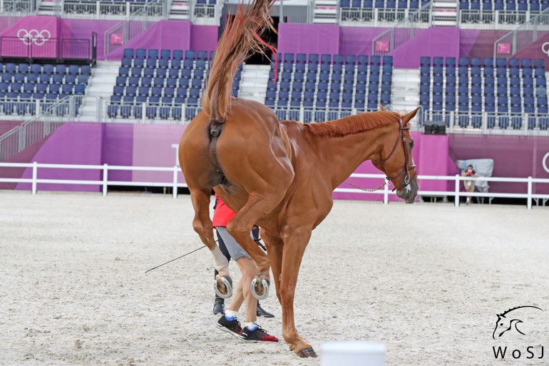 Photo © Jenny Abrahamsson for World of Showjumping