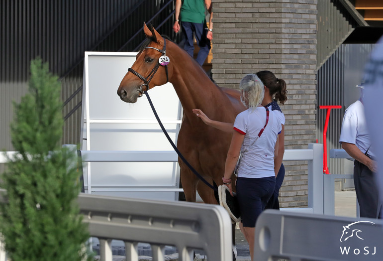 Photo © Jenny Abrahamsson for World of Showjumping