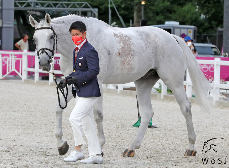 Photo © Jenny Abrahamsson for World of Showjumping. 