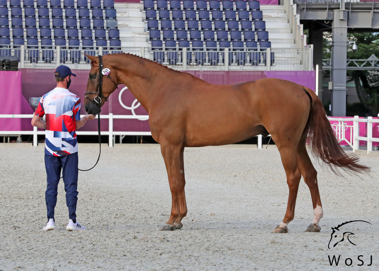 Photo © Jenny Abrahamsson for World of Showjumping