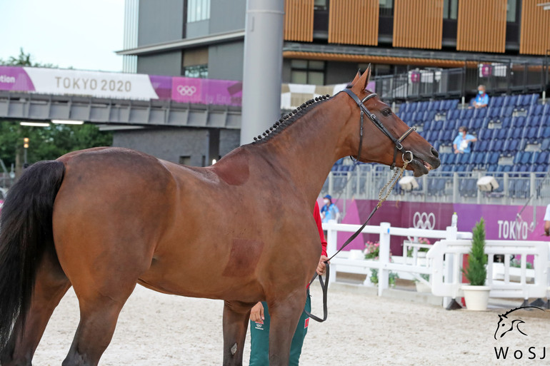 Photo © Jenny Abrahamsson for World of Showjumping