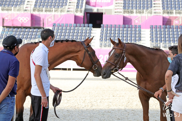 Photo © Jenny Abrahamsson for World of Showjumping