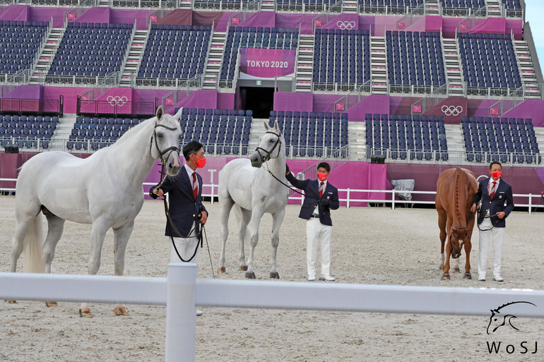 Photo © Jenny Abrahamsson for World of Showjumping. 