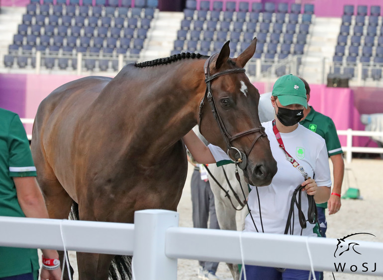 Photo © Jenny Abrahamsson for World of Showjumping