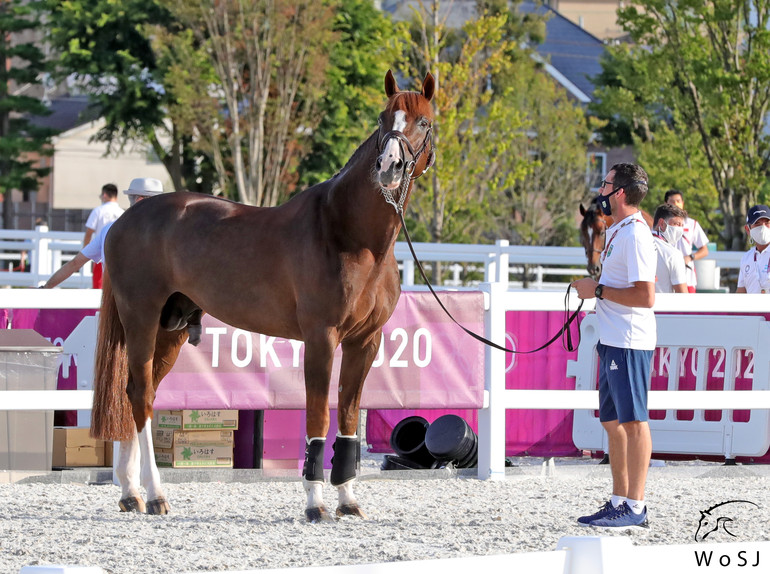 Photo © Jenny Abrahamsson for World of Showjumping