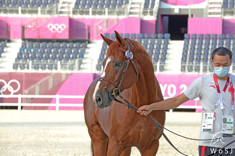 Photo © Jenny Abrahamsson for World of Showjumping