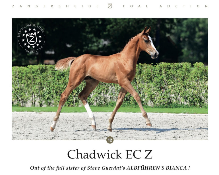 Chadwick EC Z