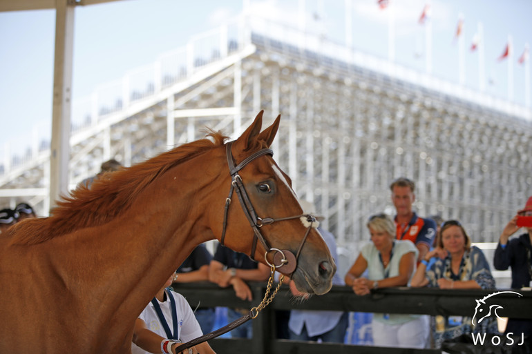 Photo © Jenny Abrahamsson for World of Showjumping.