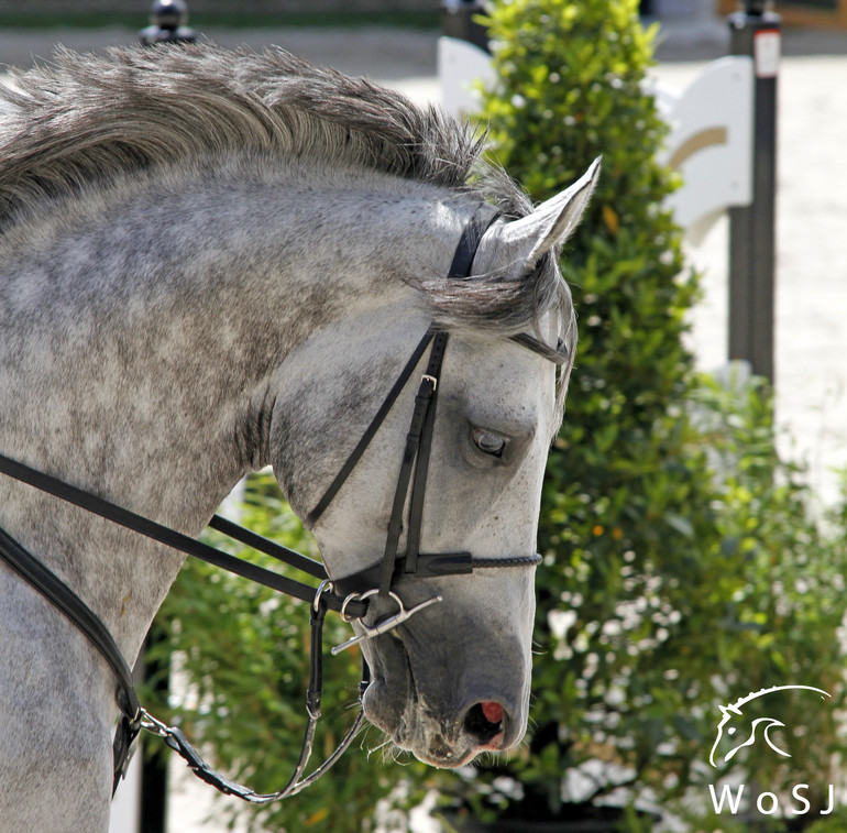 Photo © Jenny Abrahamsson for World of Showjumping.