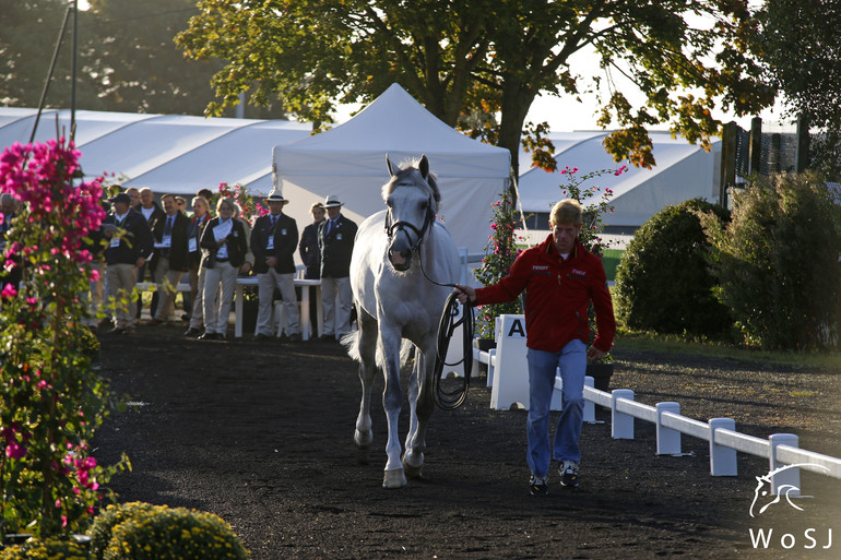 Photo © Jenny Abrahamsson for World of Showjumping.