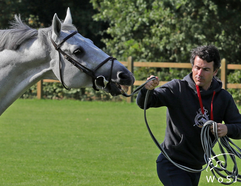 Photo © Jenny Abrahamsson for World of Showjumping.