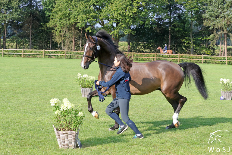 Photo © Jenny Abrahamsson for World of Showjumping.