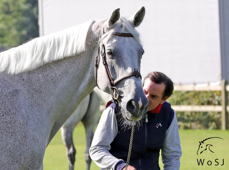 Photo © Jenny Abrahamsson for World of Showjumping